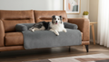Pet Sofa Travel Protector